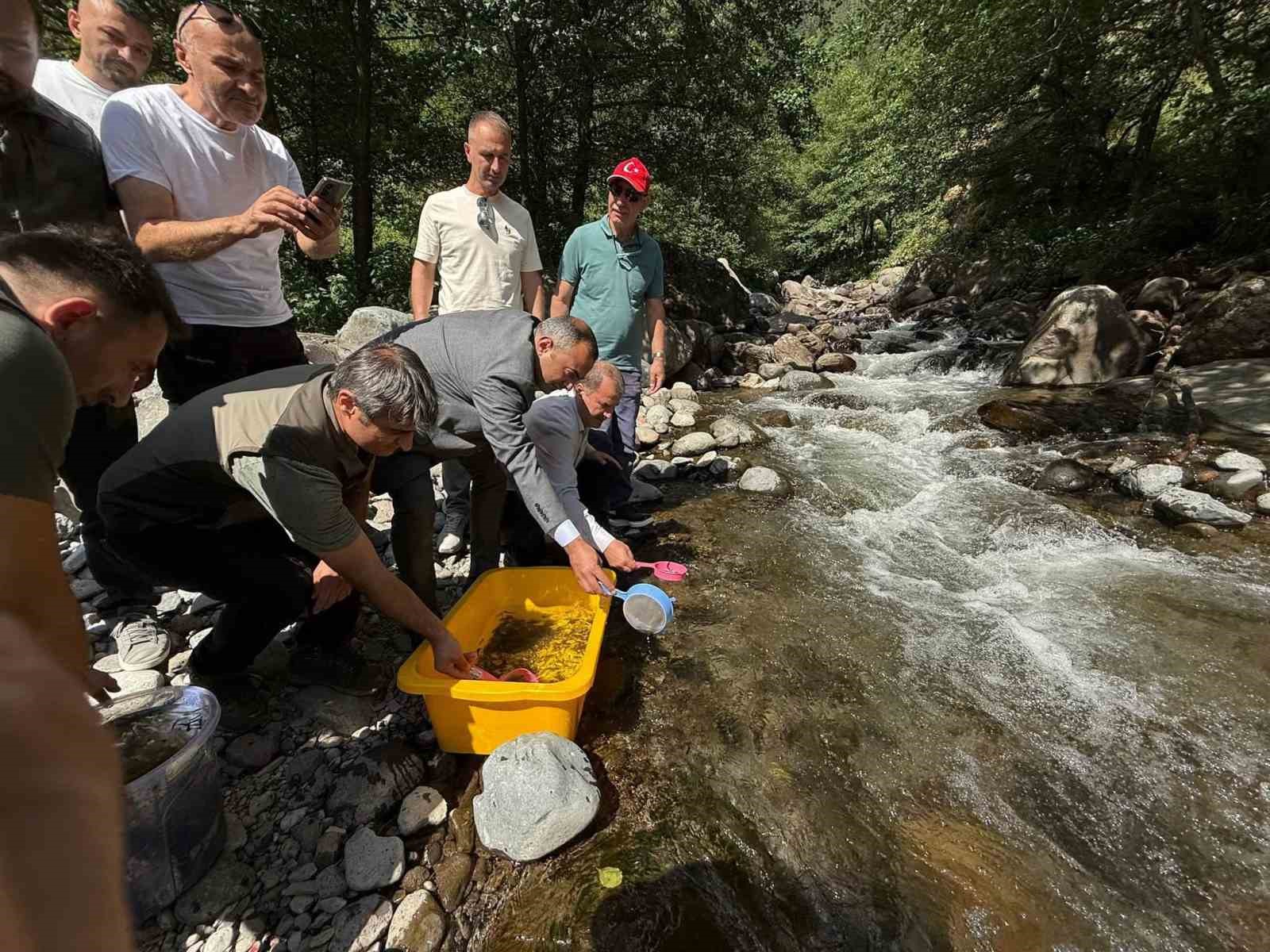 Şavşat’ta Mansurat Deresi’ne 20 bin alabalık yavrusu bırakıldı