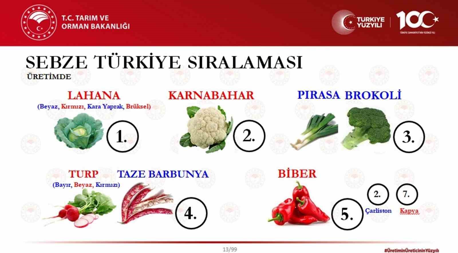 Sebzede lider, meyvede güçlü, tarımda marka şehir: Samsun