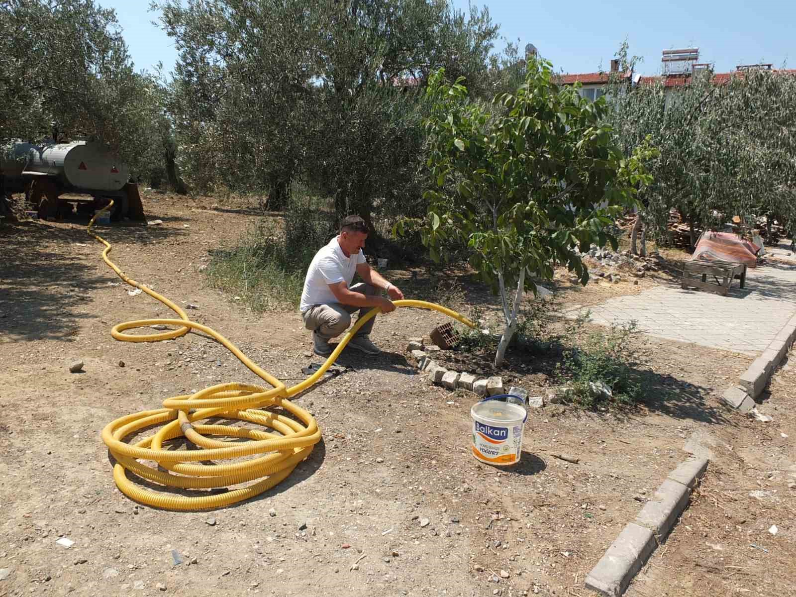 Balıkesirli çiftçi oturduğu caddeyi meyve ağaçlarıyla yeşillendirdi