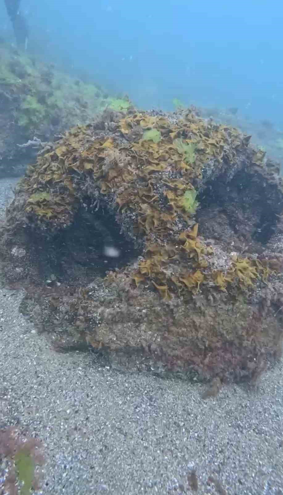 Ordu’da denizde bulunan mayın, SAS ekipleri tarafından imha edildi