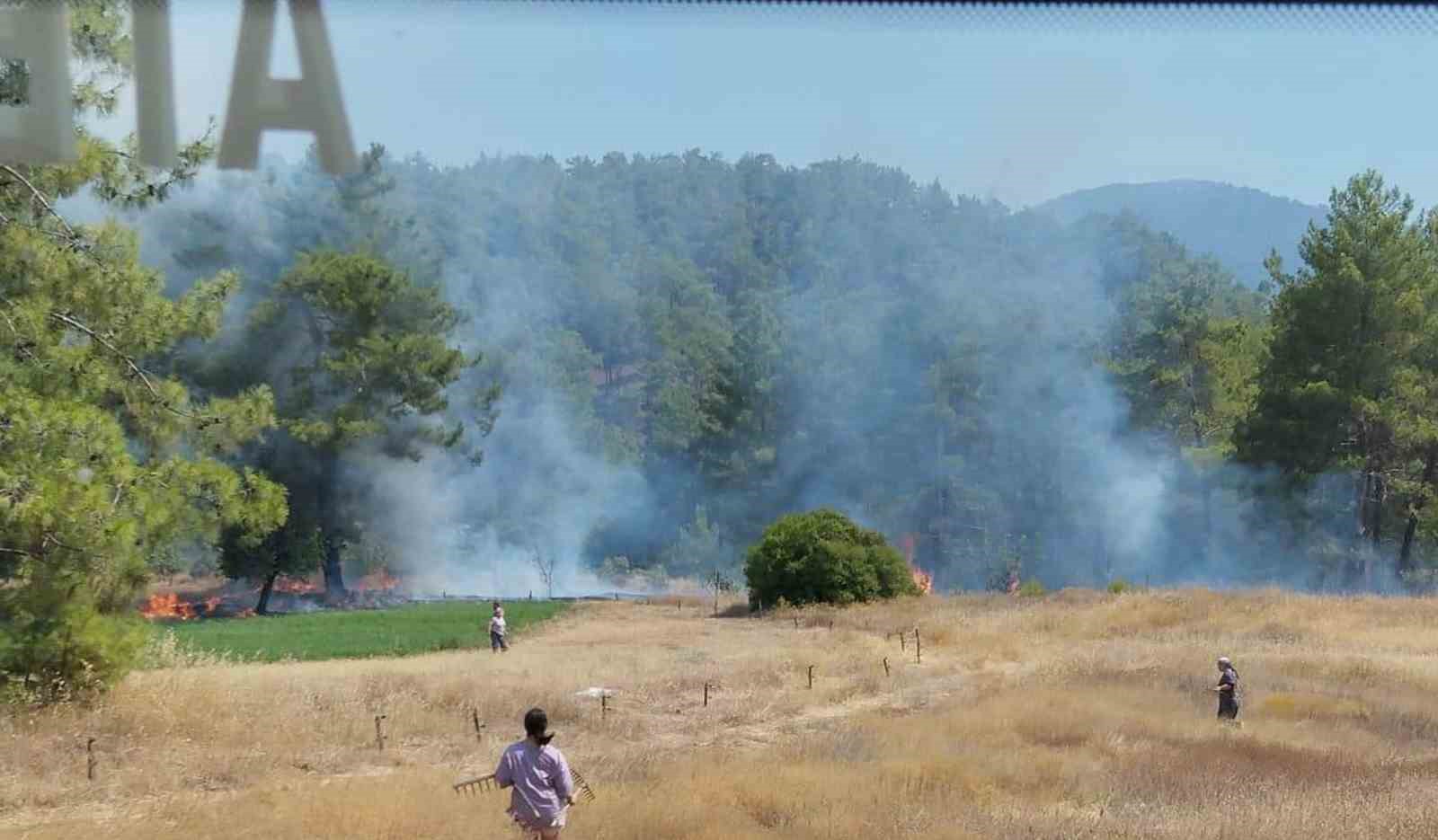 Köyceğiz’de ot yangını