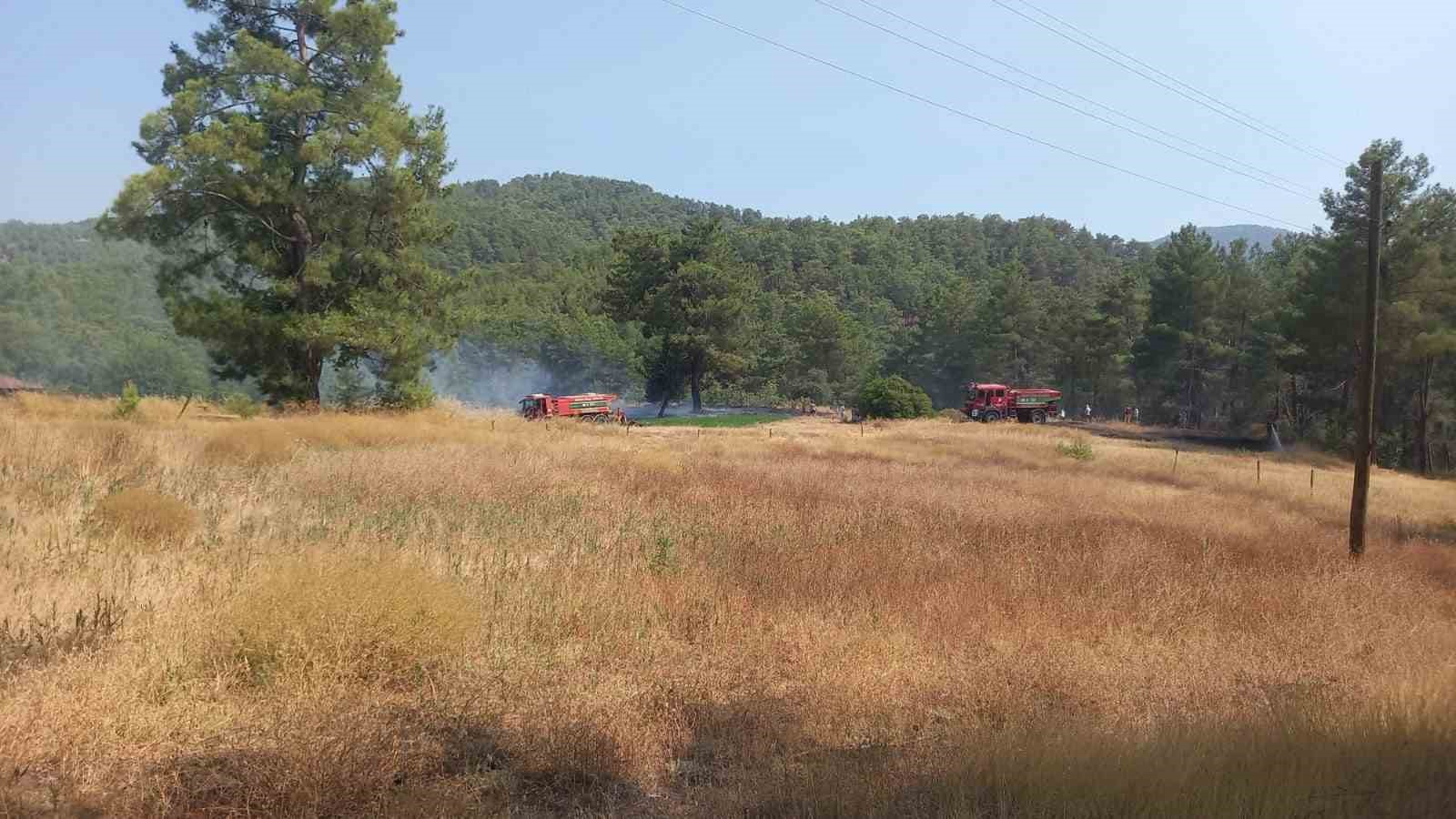 K&ouml;yceğiz&rsquo;de ot yangını
