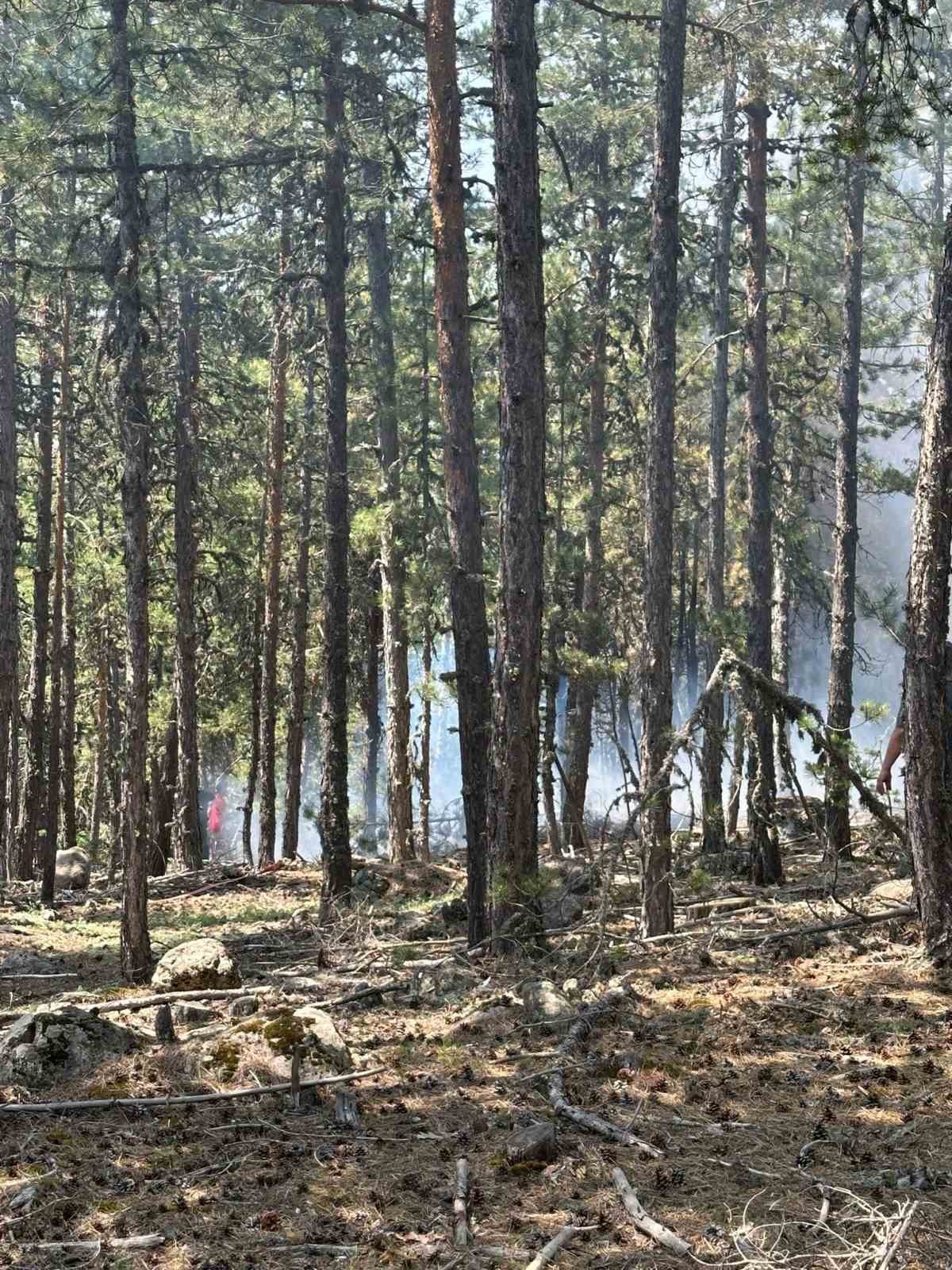 Bolu’da yıldırım kaynaklı çıkan yangınlar söndürüldü