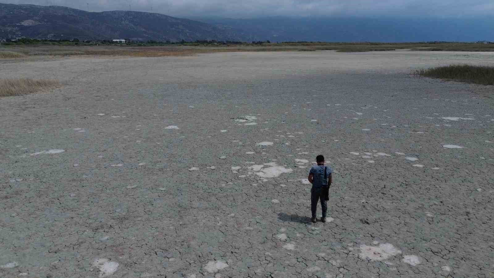 Kuraklığın etkisiyle çöle dönen Milleyha’da kuş gözlemcileri gelecekten ümitli