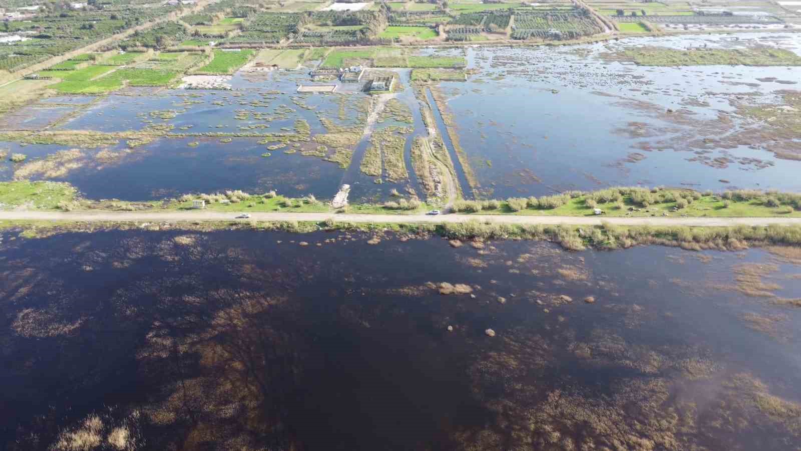 Kuraklığın etkisiyle çöle dönen Milleyha’da kuş gözlemcileri gelecekten ümitli