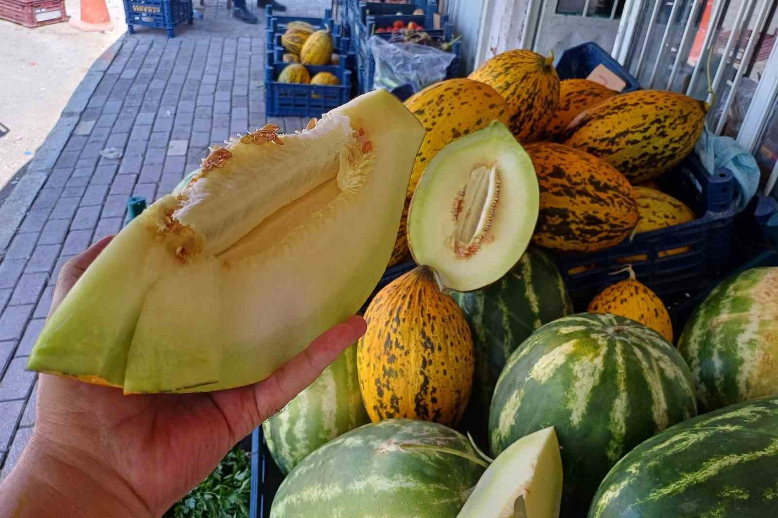 Araban Ovasnda kavun hasad balad
