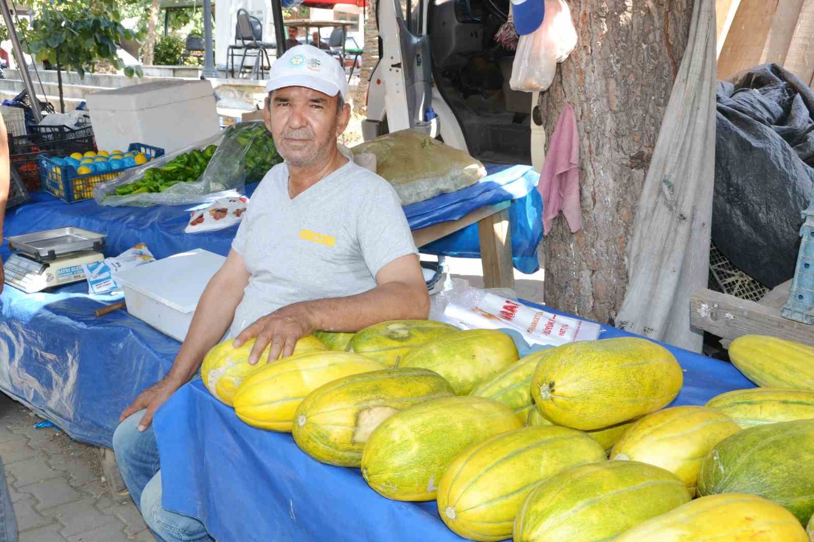 Manisa’da Altınbaş Kavununda hasat başladı