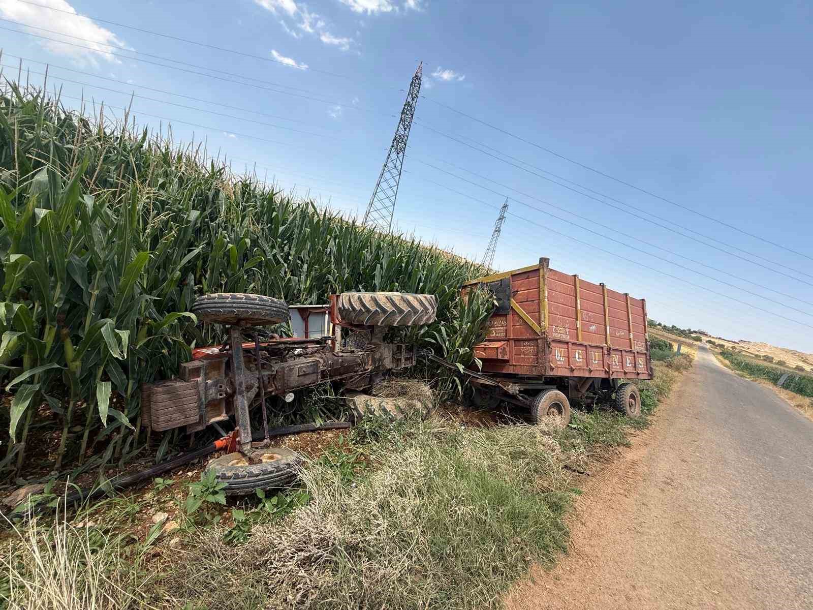 Mardin’de traktör mısır tarlasına devrildi