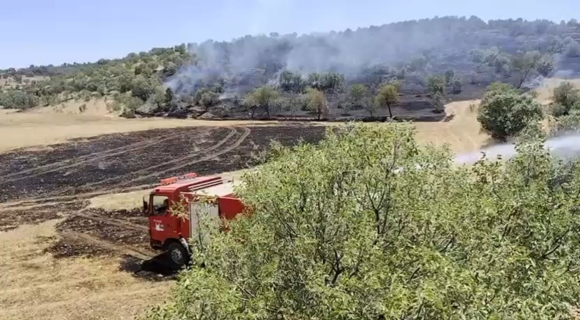 Mardin&rsquo;de &ouml;rt&uuml; yangını
