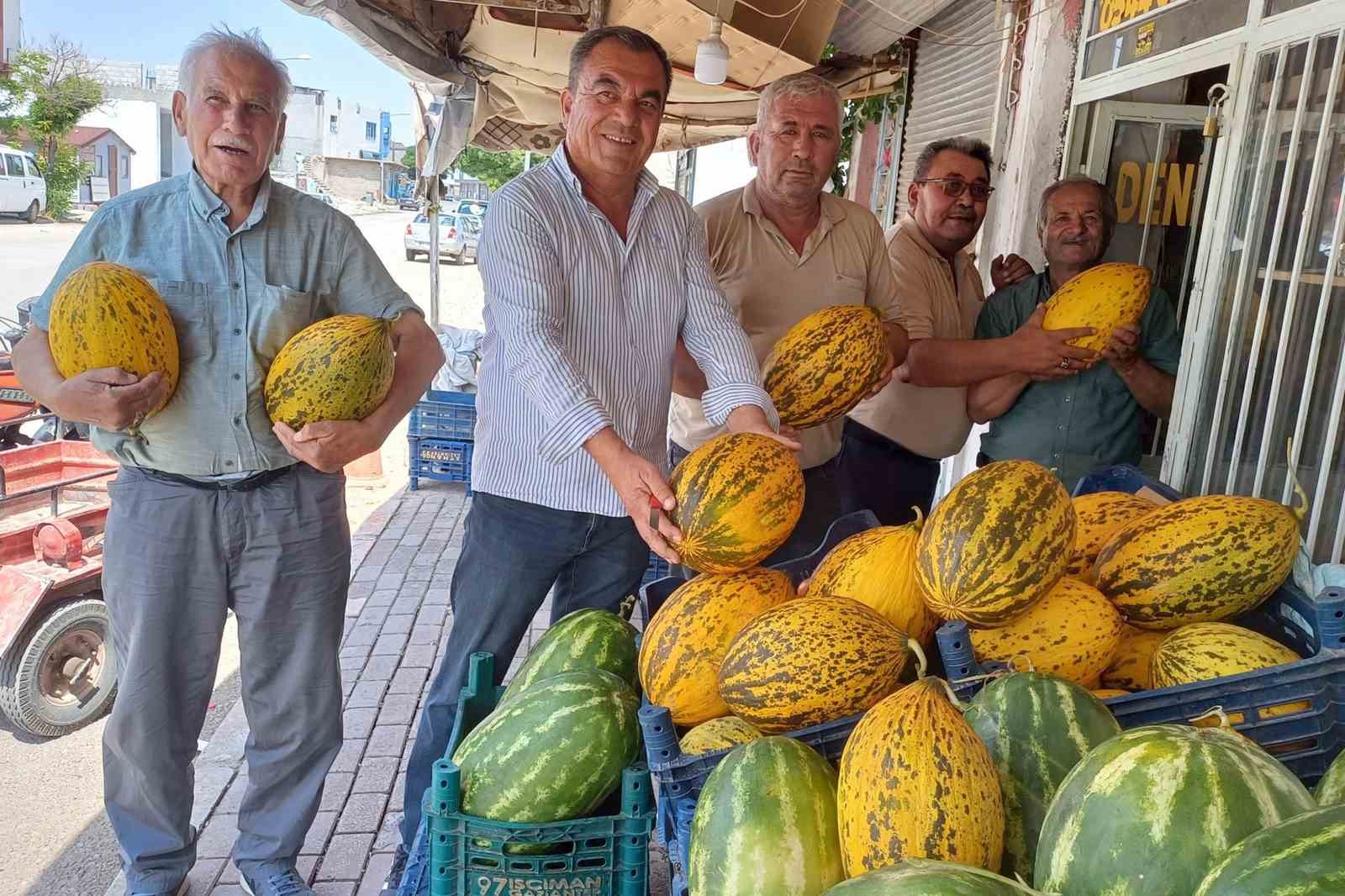 Araban Ovası’nda kavun hasadı başladı