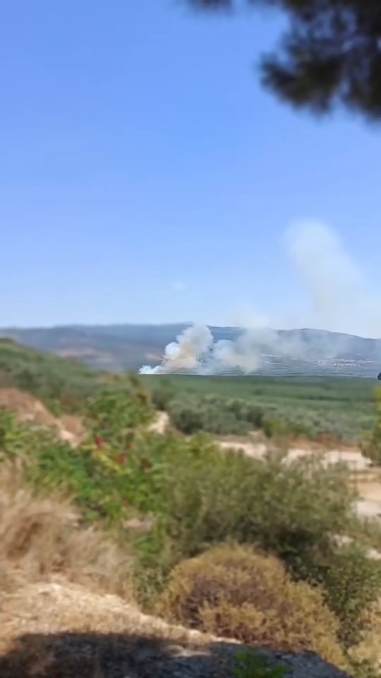 İznik&rsquo;te orman yangını
