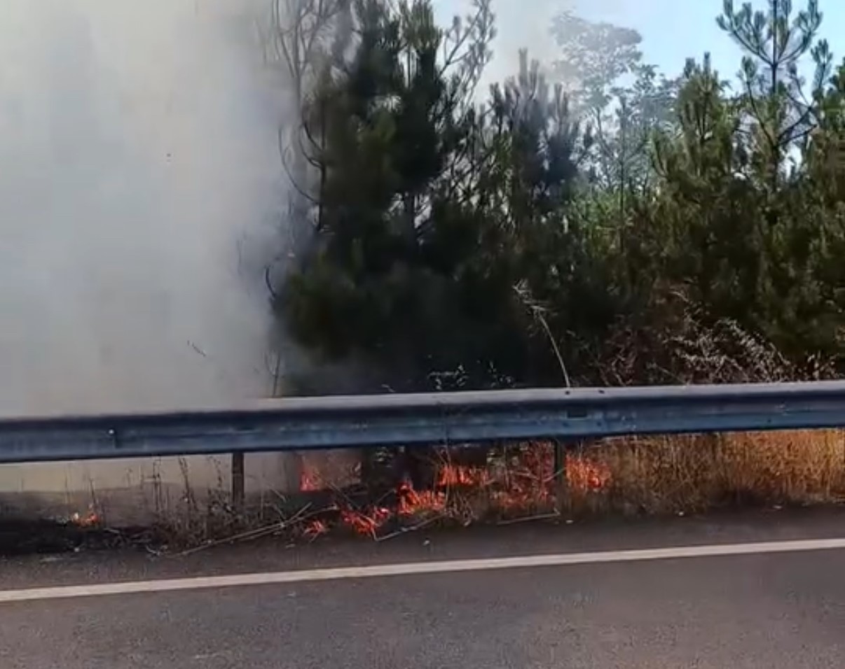 Düğün konvoyundaki meşale çamlık alanı yaktı