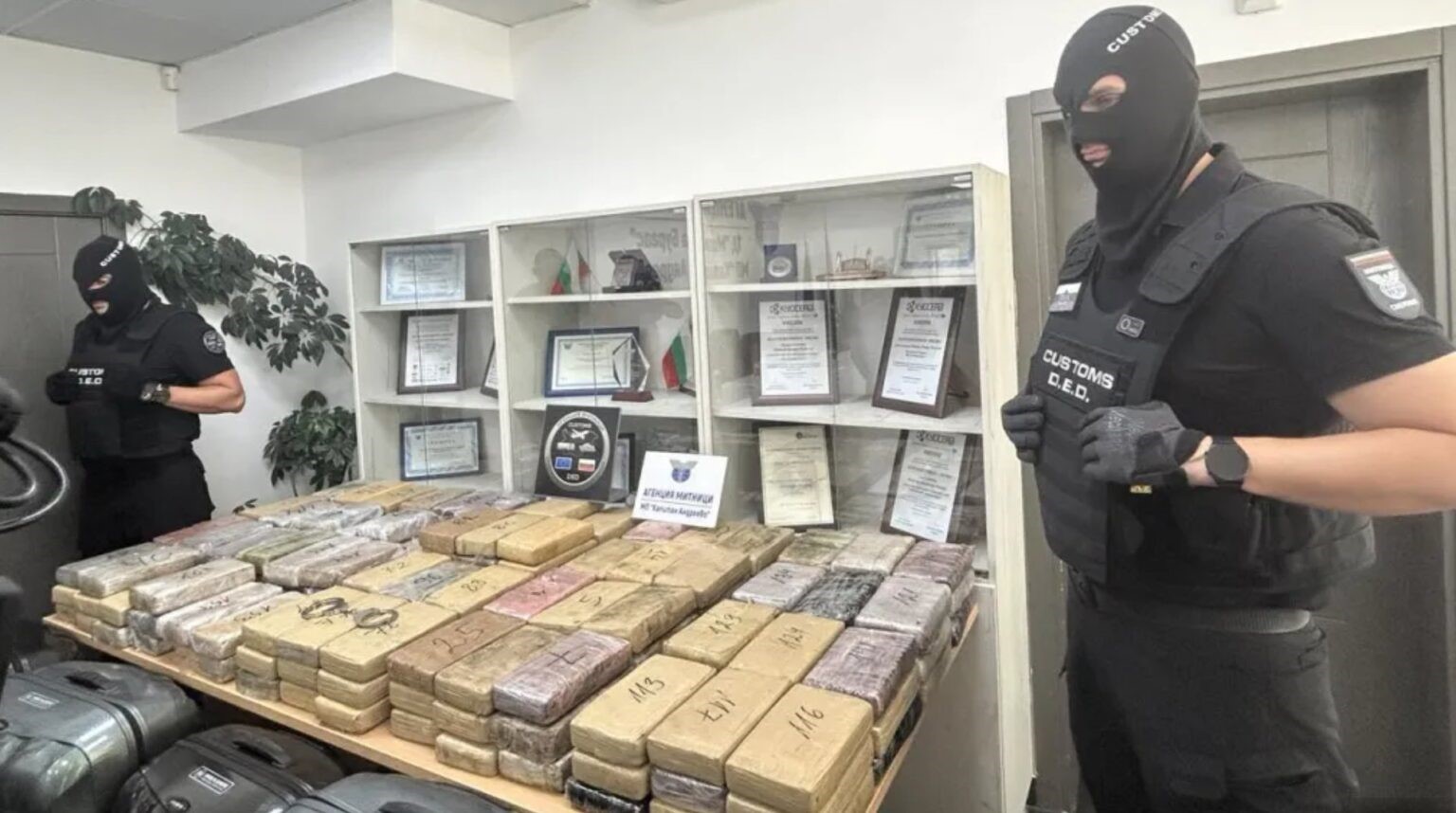 Diplomatik plakalı araçta rekor kokain: 206 kilo