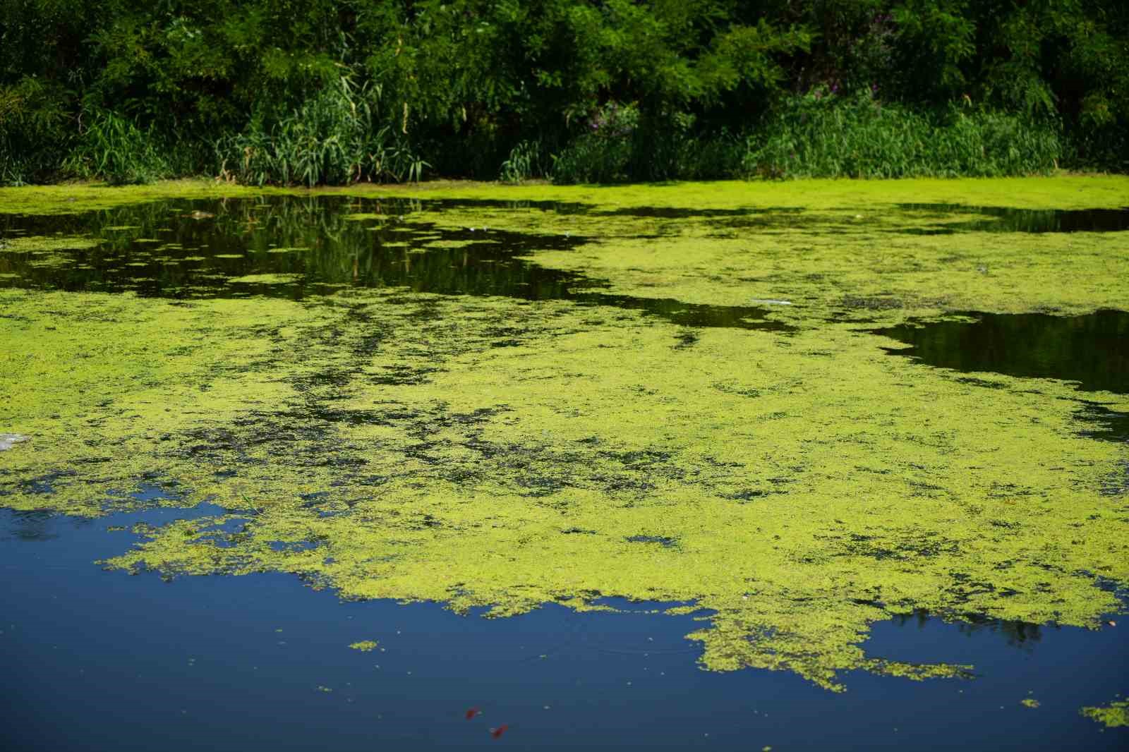 Tunca Nehri’nde su akışı durdu