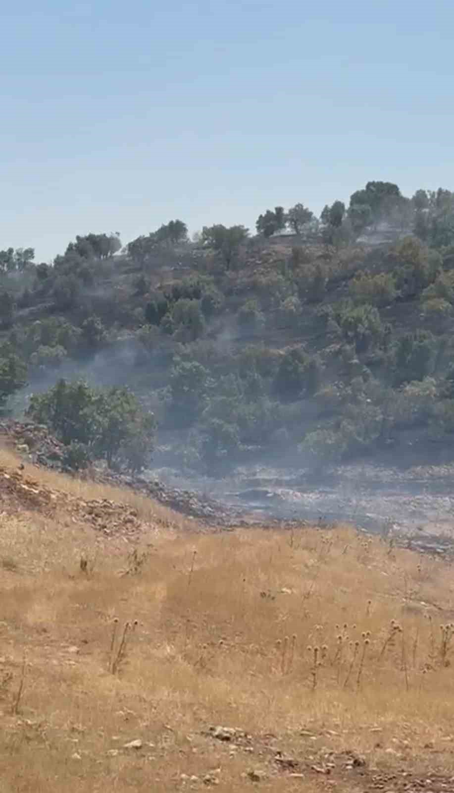 Mardin’de örtü yangını kontrol altına alındı