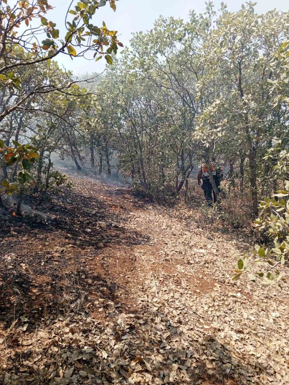 Mardin’de örtü yangını kontrol altına alındı