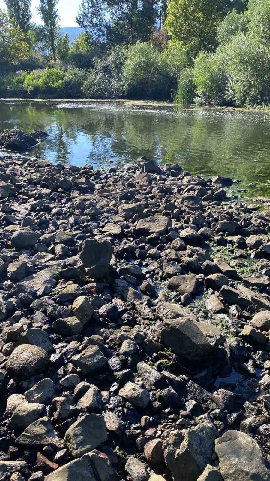 Sakarya Nehri&rsquo;ne giren iki &ccedil;ocuk suda kayboldu
