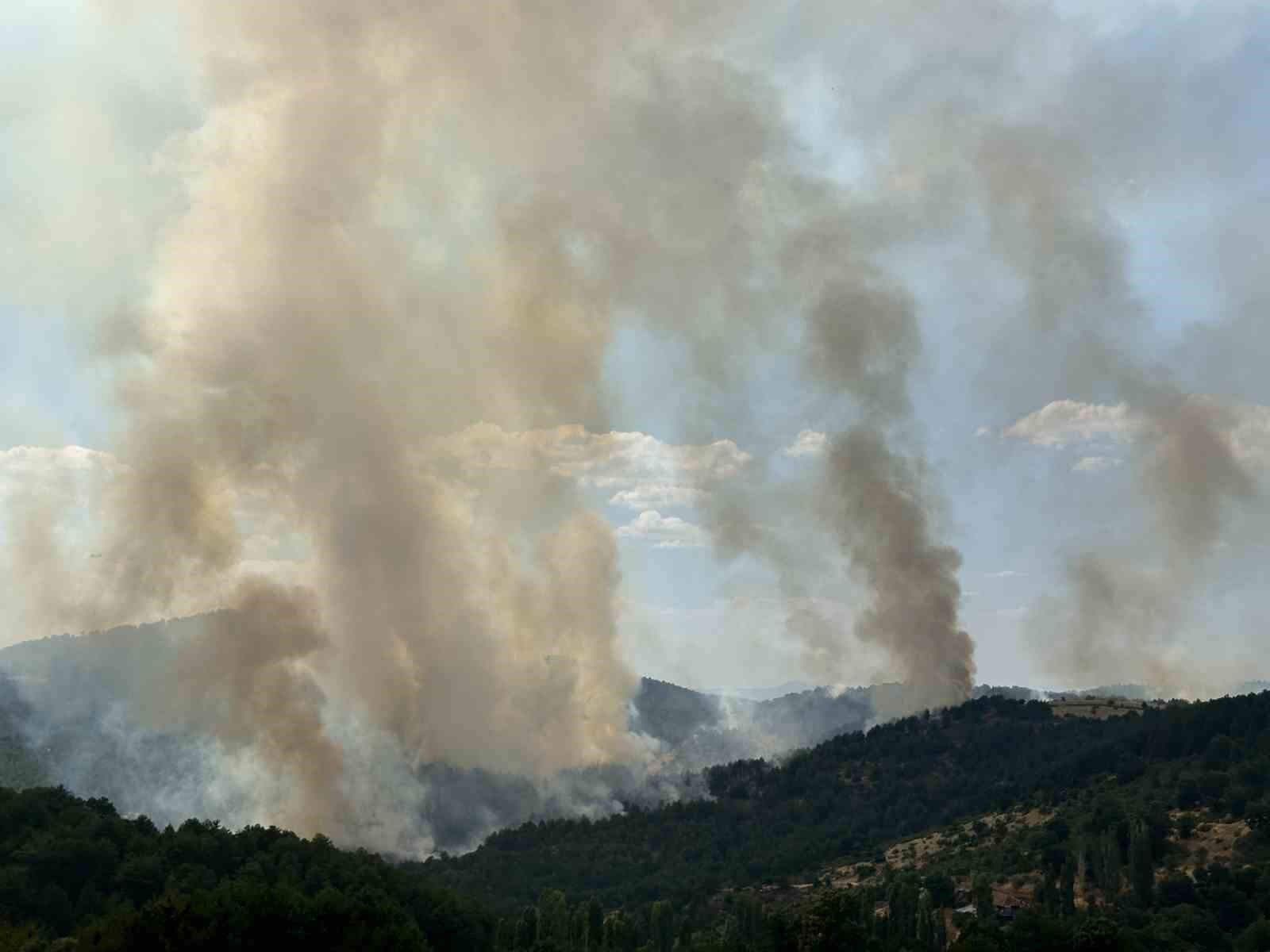 Uşak’taki orman yangınına havadan ve karadan müdahale devam ediyor