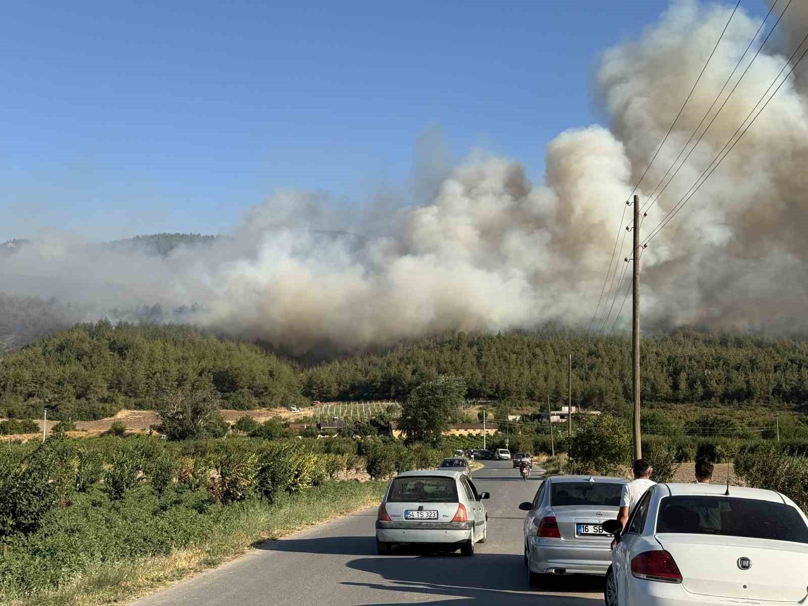 Sakarya’da orman yangını
