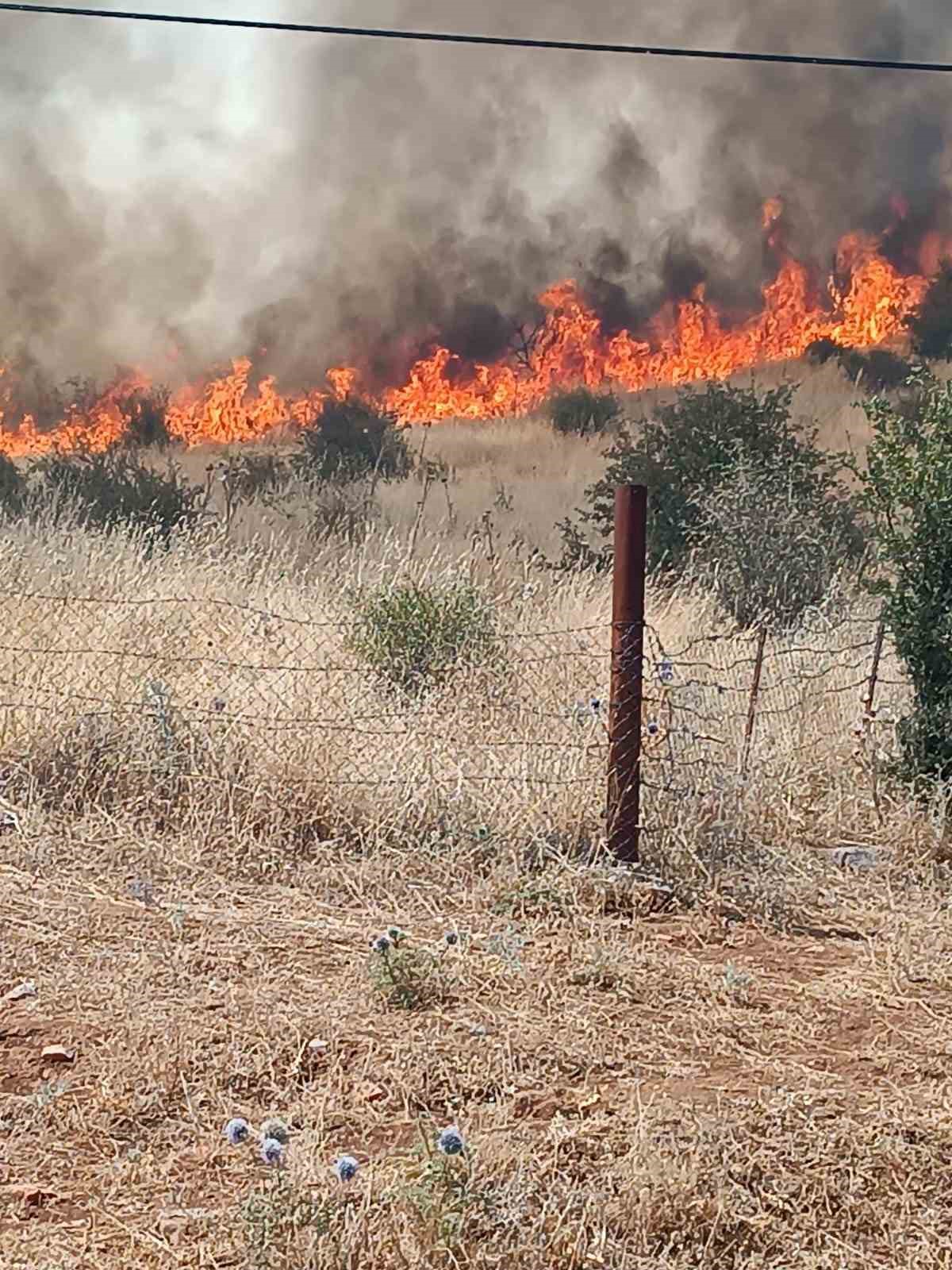 Batman’daki orman yangını kontrol altına alındı