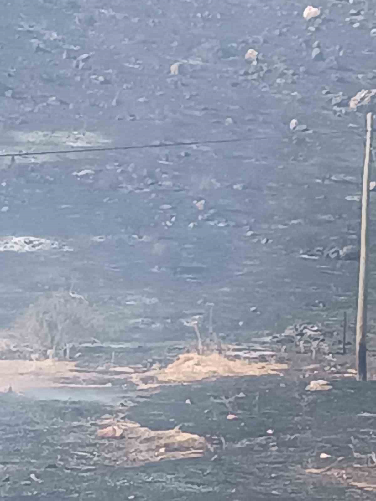 Batman’daki orman yangını kontrol altına alındı