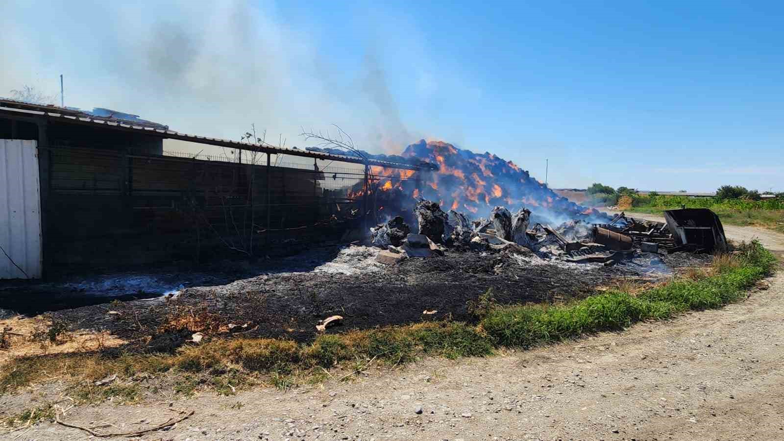 Bursa’da çiftlikte çıkan yangın 3 yere sıçradı