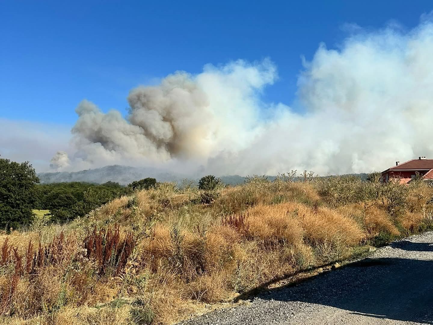 Bilecik’teki orman yangınına müdahale devam ediyor