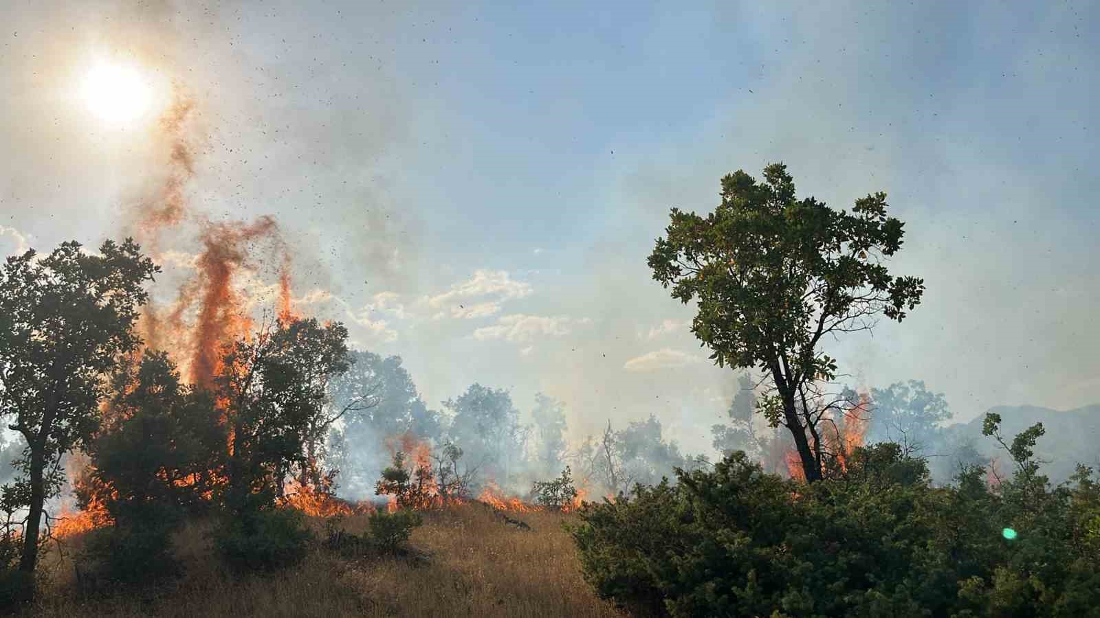 Bingöl’de çıkan orman yangınları söndürüldü
