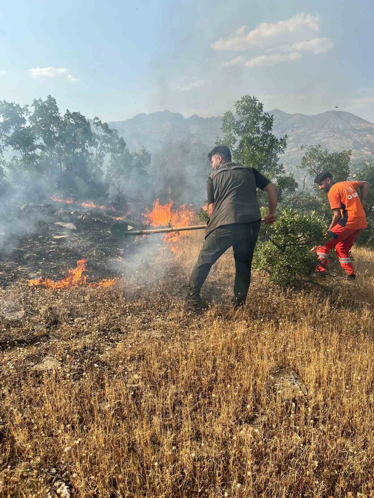 Bingöl’de çıkan orman yangınları söndürüldü