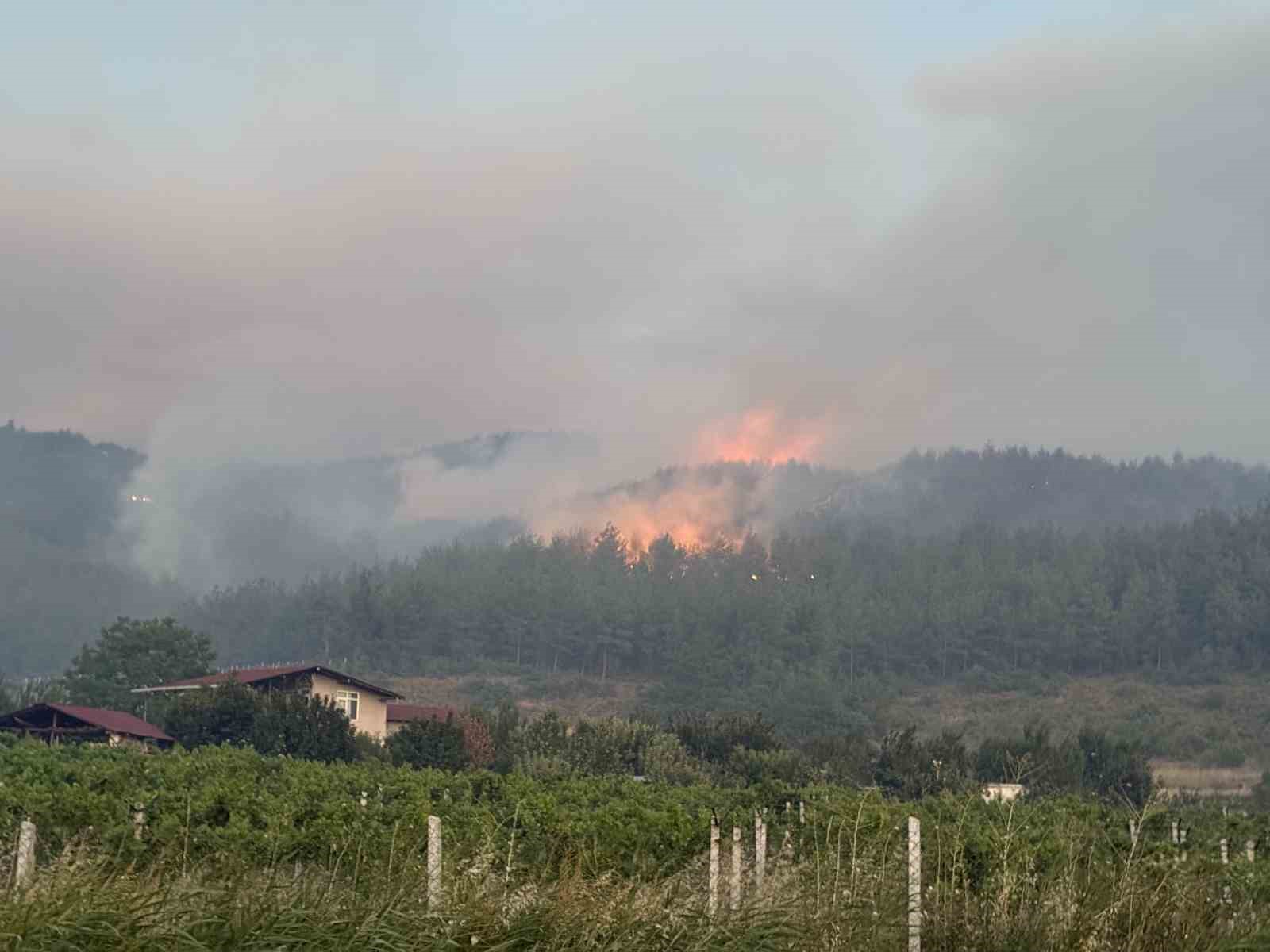 Sakarya’da orman yangınına 8 helikopter, 5 uçak müdahale ediyor