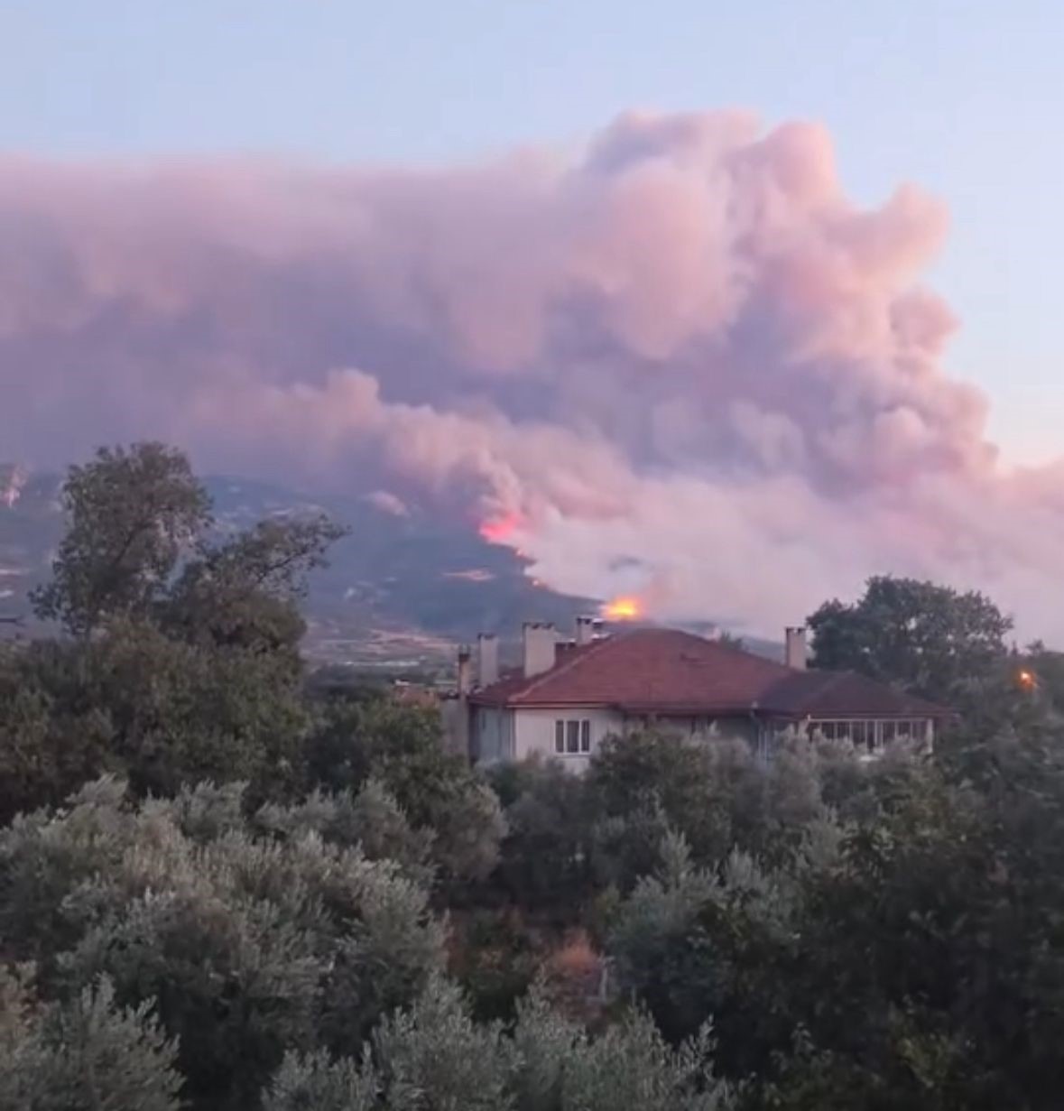 Sakarya’da orman yangınına 8 helikopter, 5 uçak müdahale ediyor