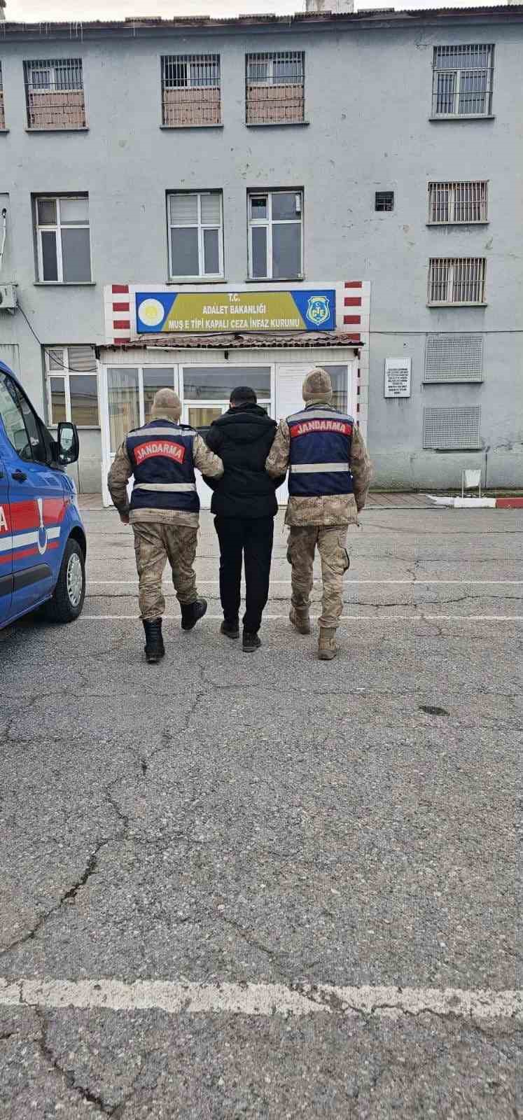 Muş’ta jandarmadan "şok huzur ve güven" uygulaması: 148 kişi yakalandı