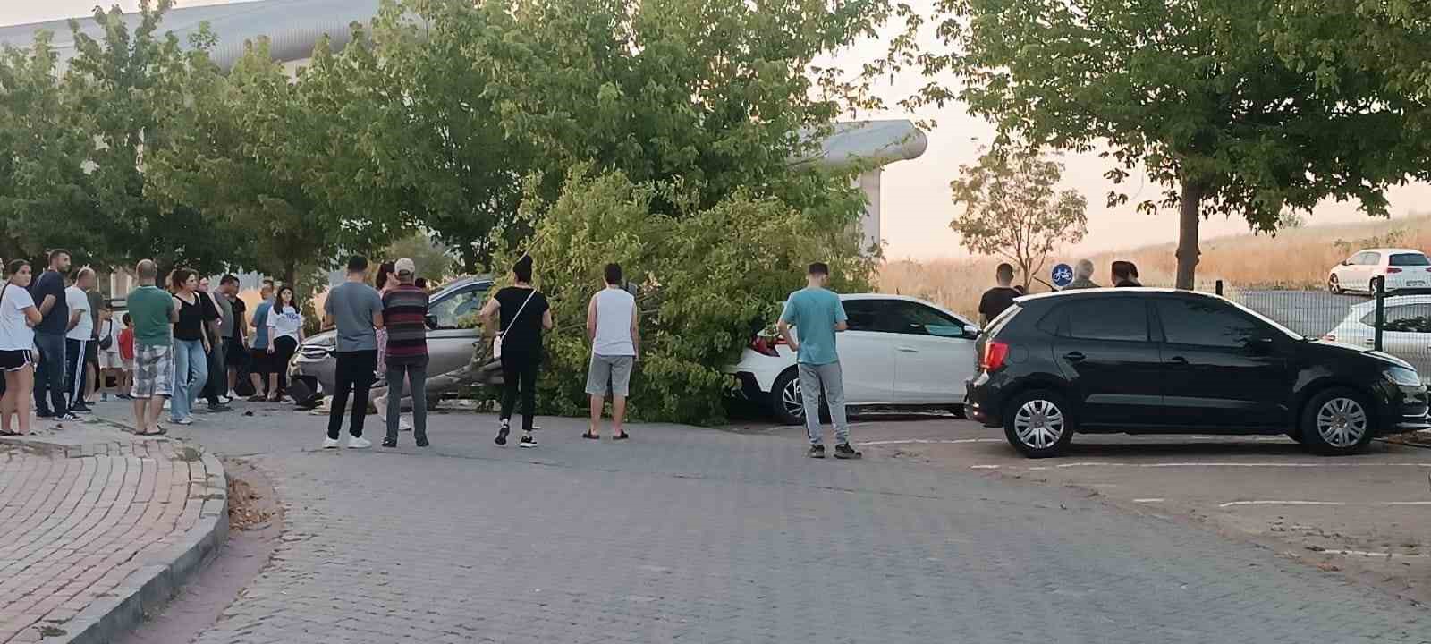 Edirne’de seyir halindeki ticari araç site bahçesine girdi