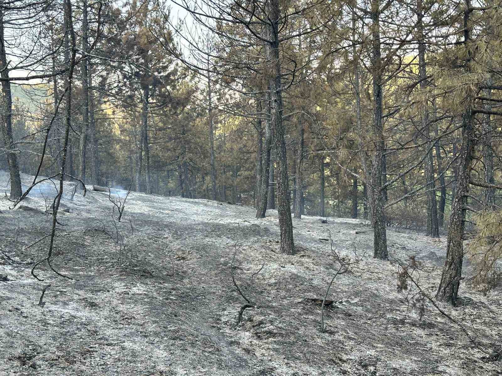 Uşak’taki orman yangını kısmen kontrol altına alındı