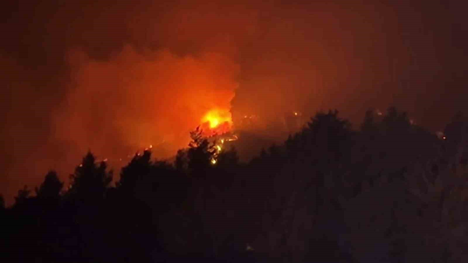 Sakarya Valisi Doğan: "İki mahalleyi boşalttık, yangının ilerlediği mahallede tedbirleri aldık"
