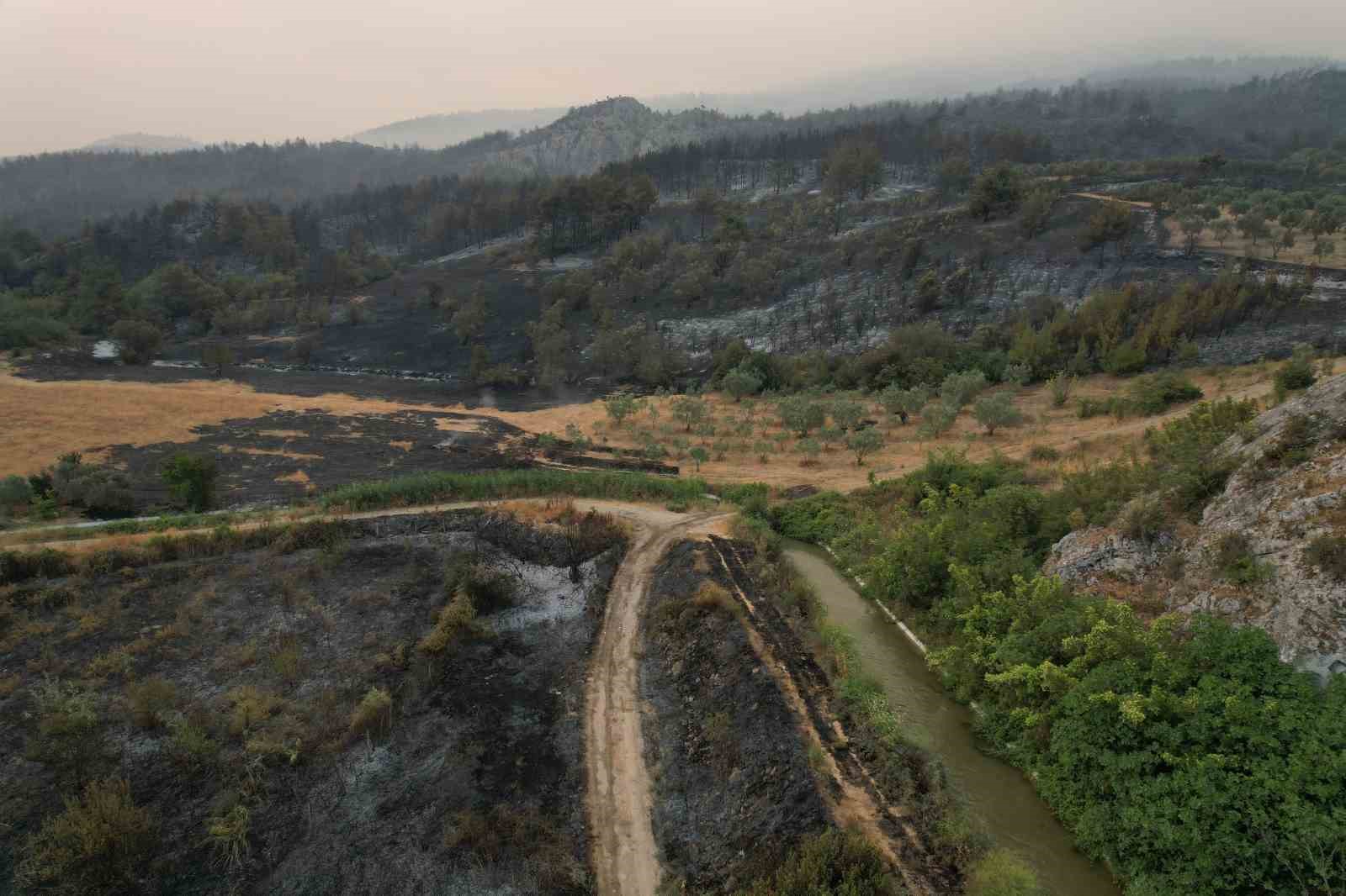 Orman yangını kabusunun ikinci günü: Ekipler çalışmalarına hız verdi