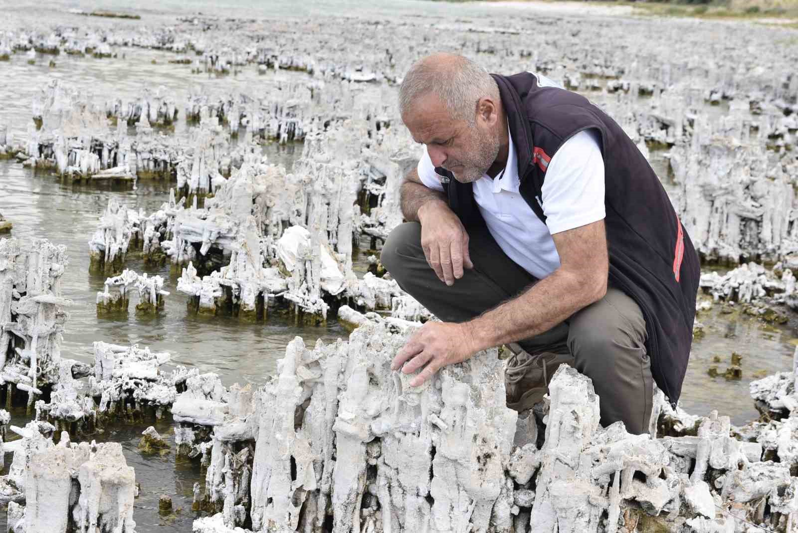 Van Gölü’nde şu ana kadarki en büyük mikrobiyalit görüntülendi