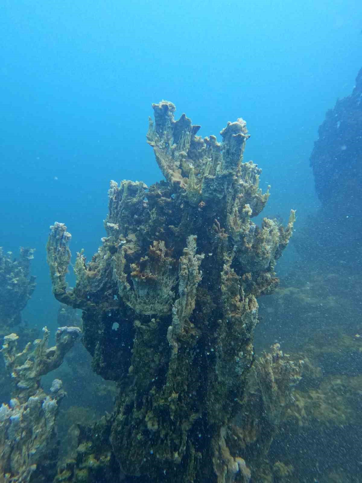 Van Gölü’nde şu ana kadarki en büyük mikrobiyalit görüntülendi