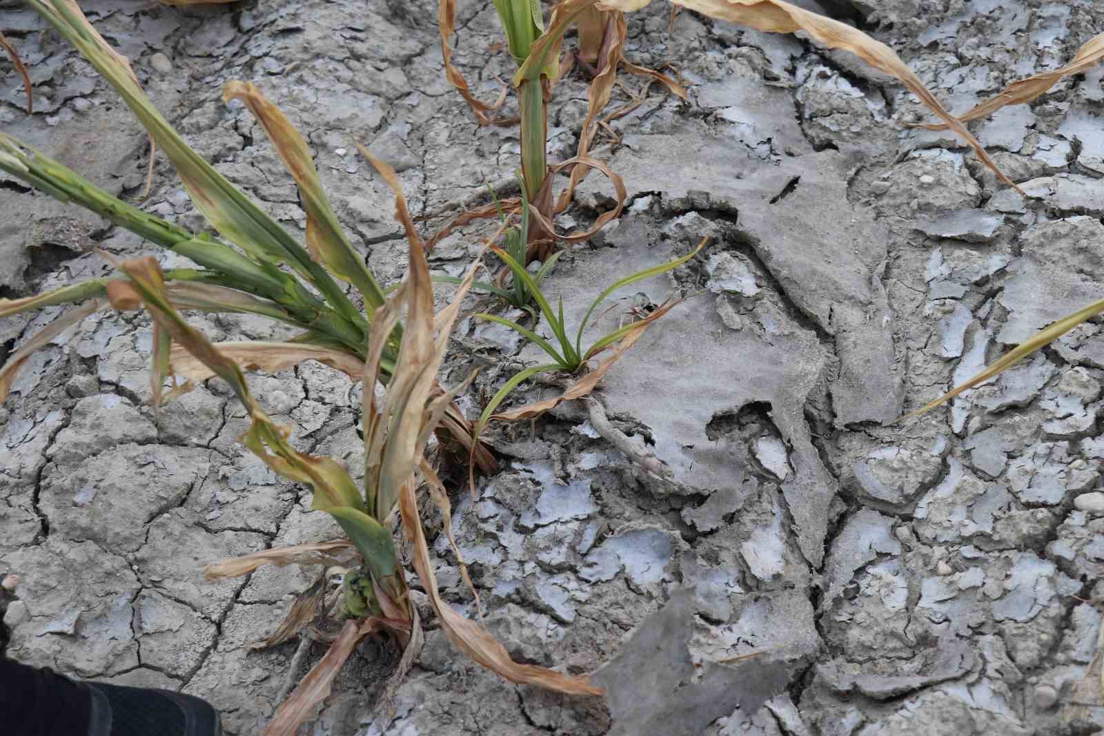 Denizli DESKİ’nin ihmalini TBMM’ye taşıyan Vekil; "CHP’li belediyenin çevreci maskesi düştü"