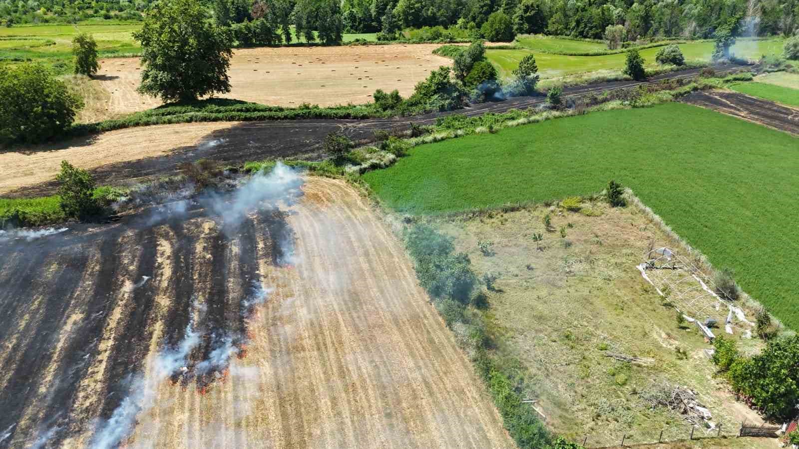 Sinop’ta anız yangını paniği