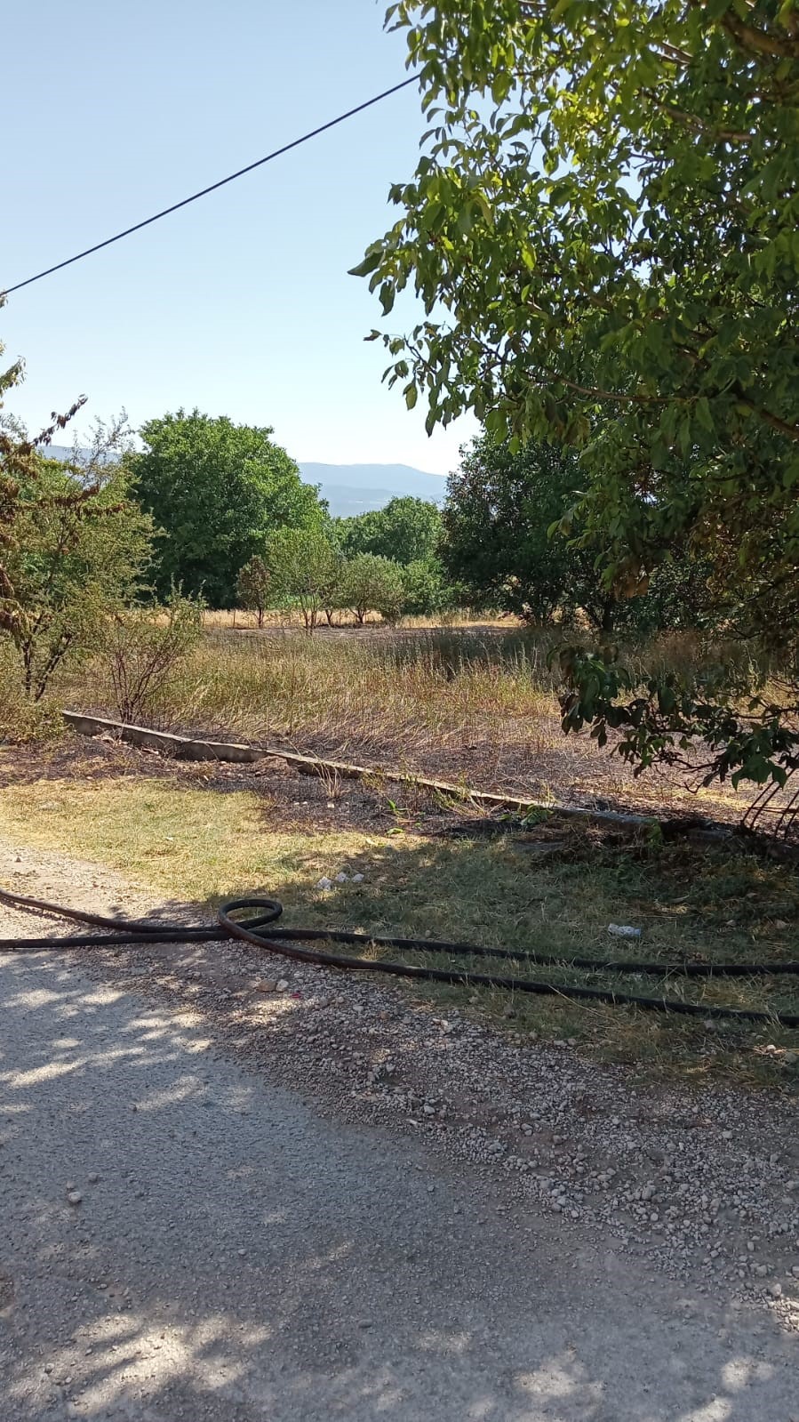 Bolu’da anız yangını korkuttu
