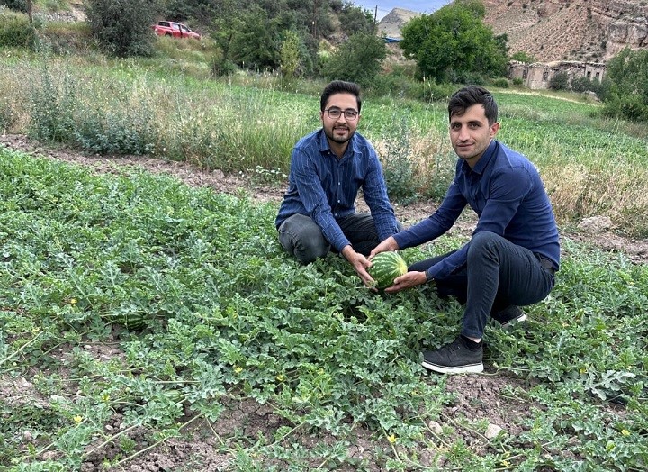 Kemah&rsquo;ta modern y&ouml;ntemlerle sebzecilik yapılıyor

