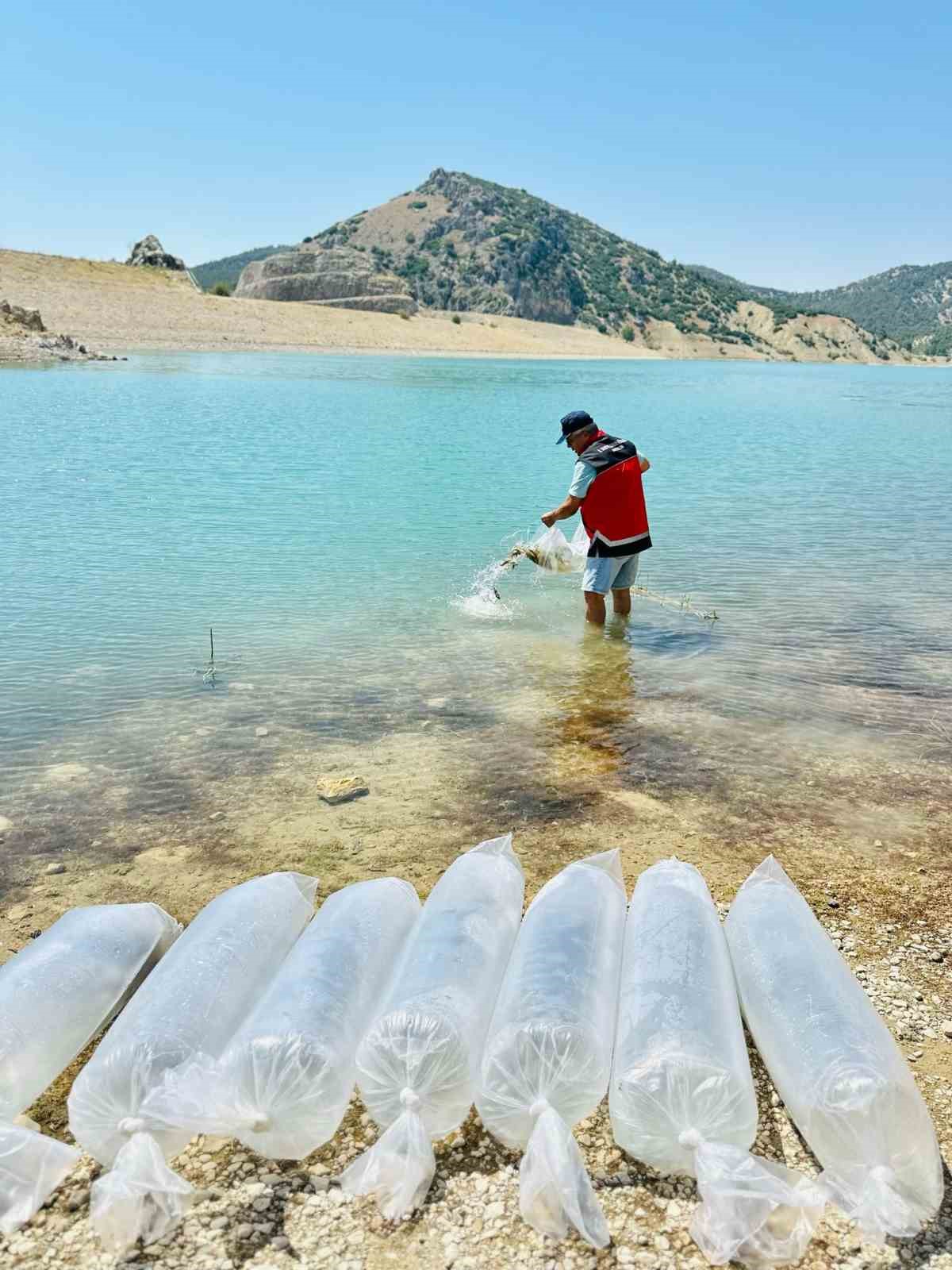 Korkuteli’nde 60 bin sazan balığı doğaya bırakıldı