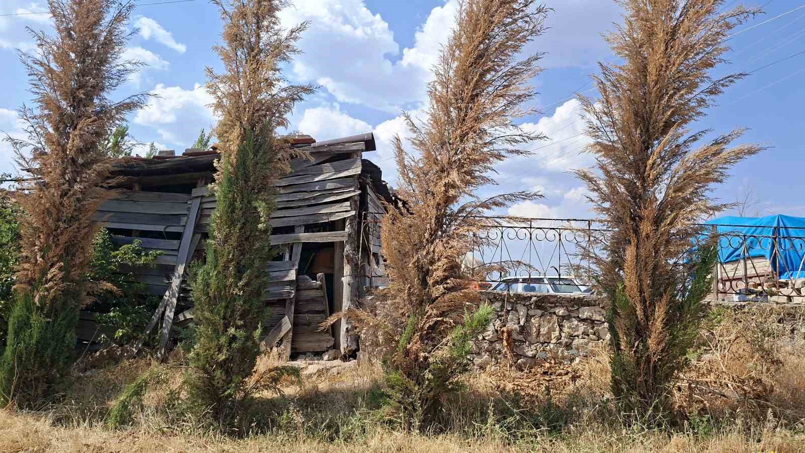 Parkın bakımsızlığı tepkilere neden oldu