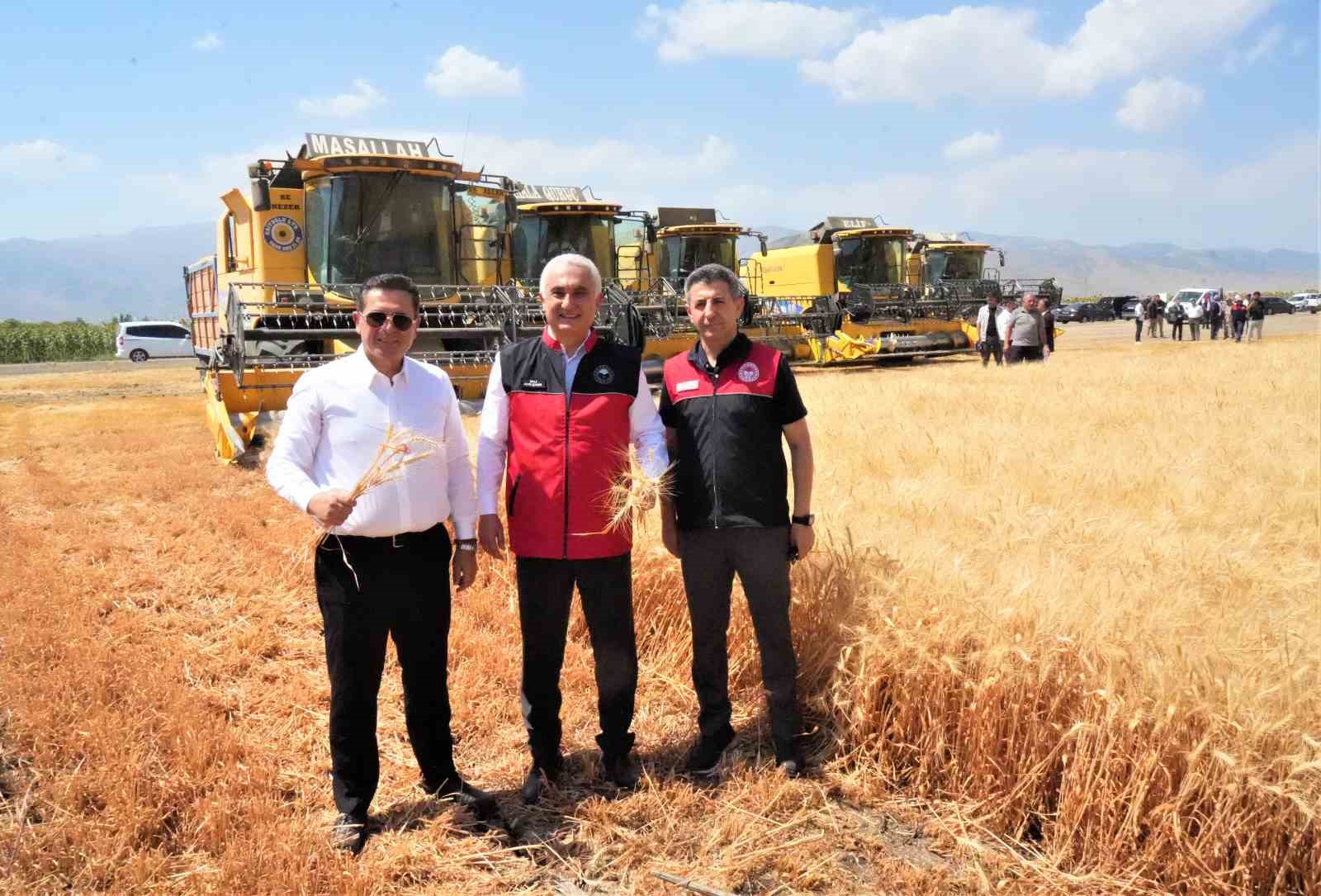 Muş’ta milyarlık hasat başladı