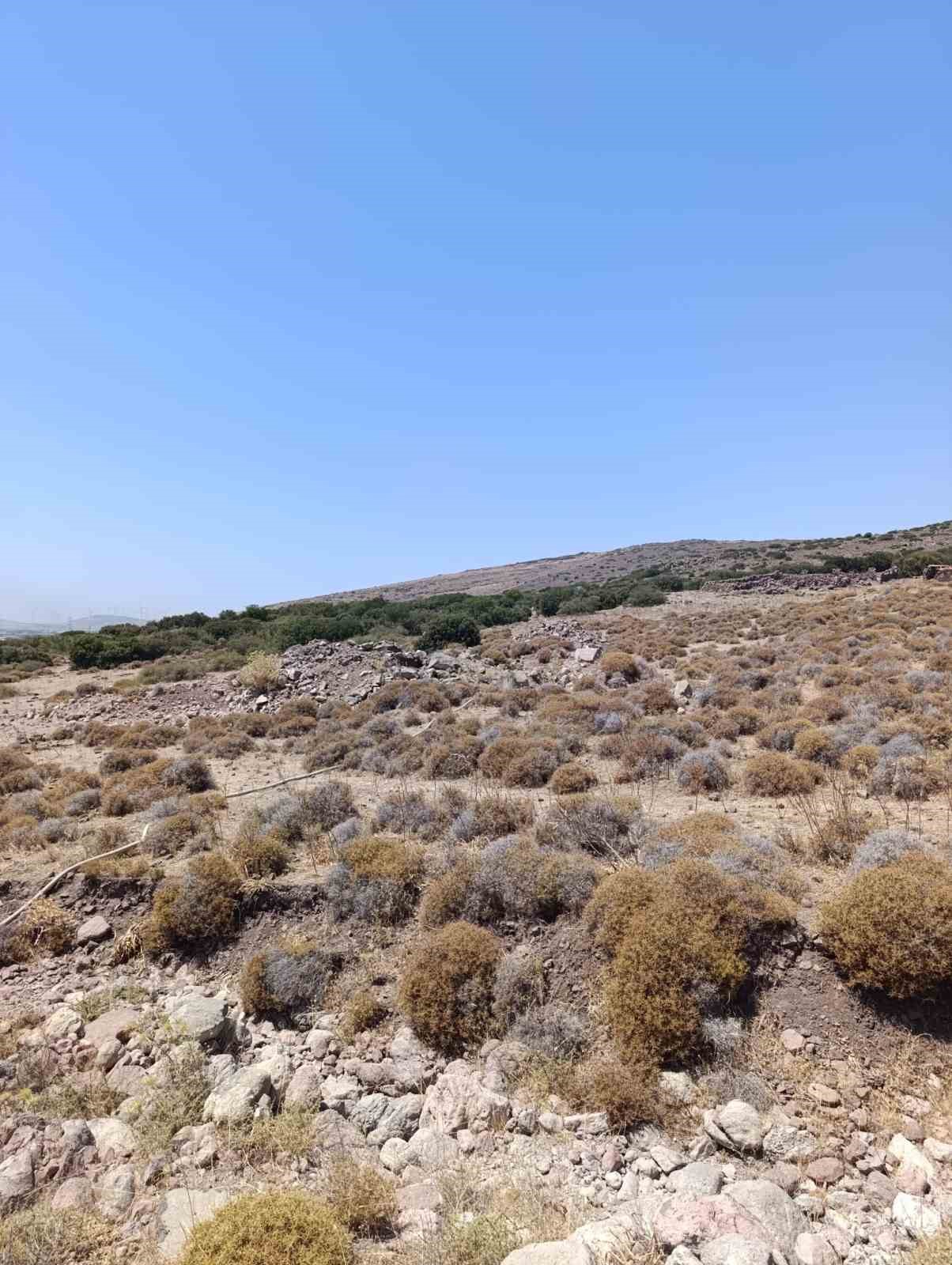İzmir&rsquo;de yaban hayvanları i&ccedil;in tankerle su taşındı
