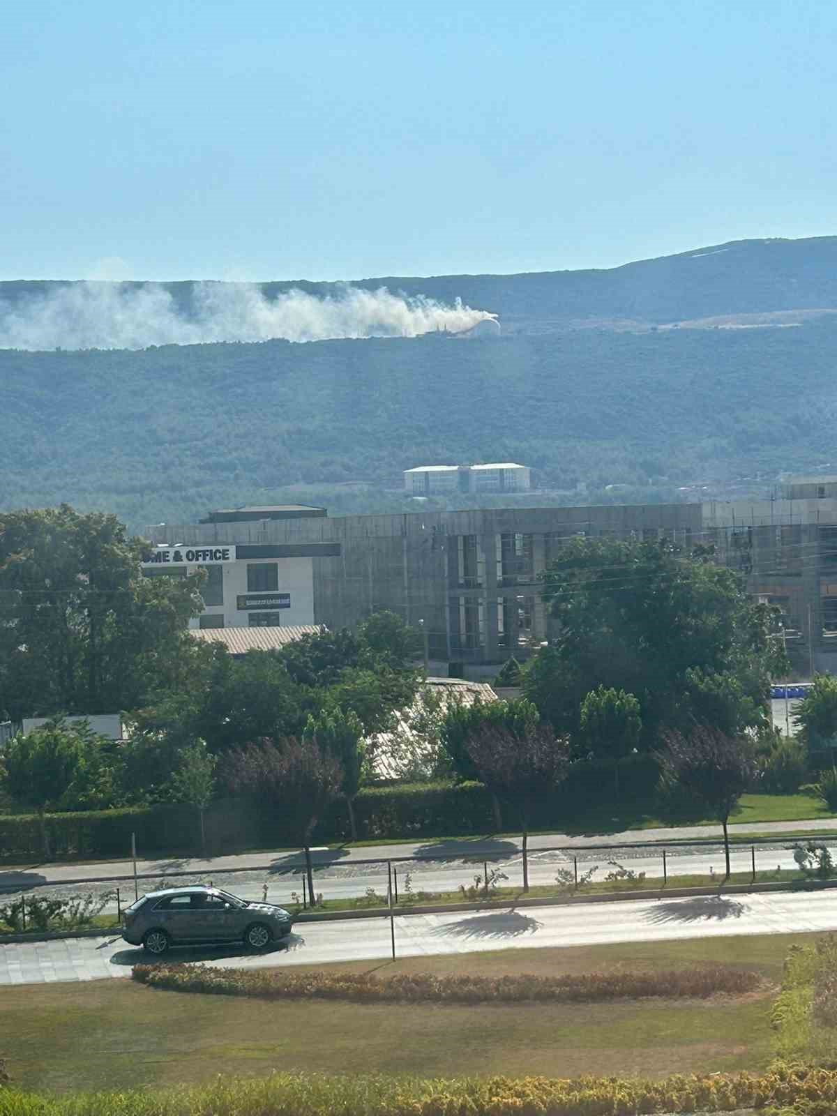 Muğla çöplüğünde yangın
