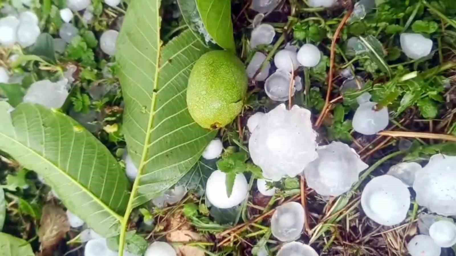 Mersin’de şiddetli dolu yağışı etkili oldu