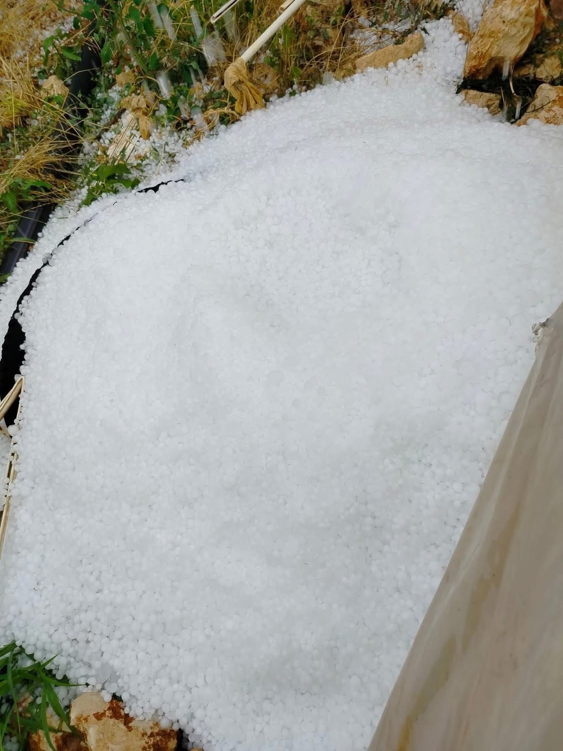 Mersin’de şiddetli dolu yağışı etkili oldu