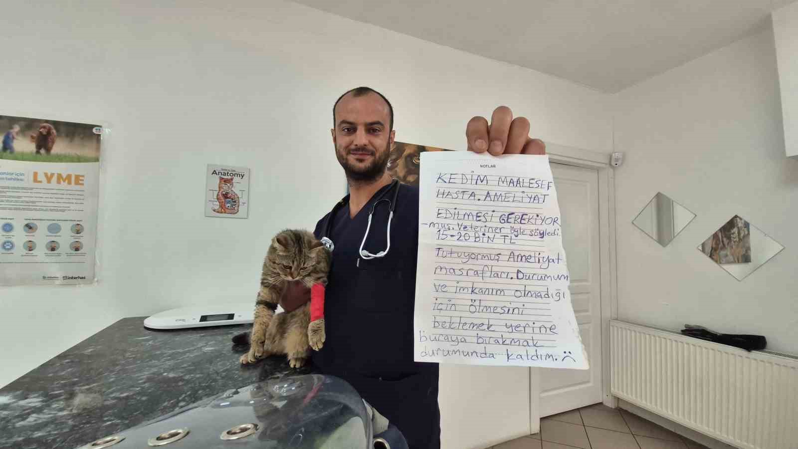 Kediyi not yazıp çanta içinde veteriner kiliğinin kapısına bıraktılar